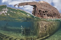 Underwater Photo Contest 2020