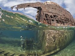Aneka Foto Alam Bawah Laut yang Ajaib