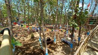 Cengkir Manis berlokasi di Desa Tanjung rejo, Kecamatan Jekulo, Kudus. Jaraknya sekitar 13 km dari pusat kabupaten Kudus.