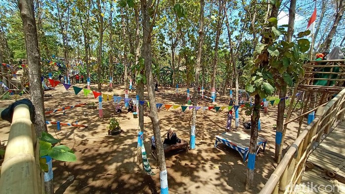 Wisata Cengkir Manis Wisata Cengkir Manis