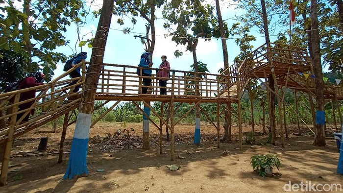Wisata Cengkir Manis Wisata Cengkir Manis