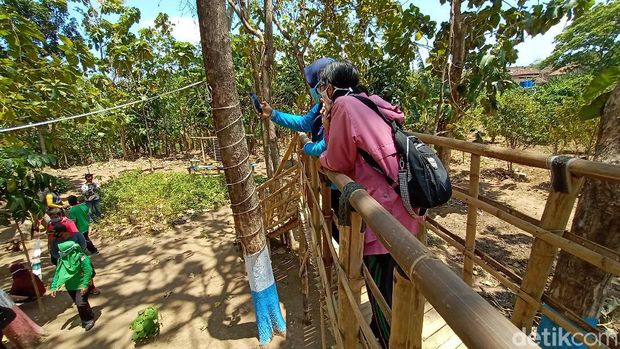Wisata Cengkir Manis