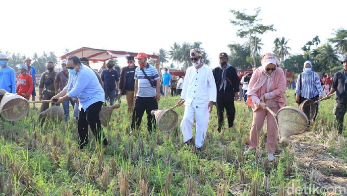Festival menangkap belalang di Pangandaran.