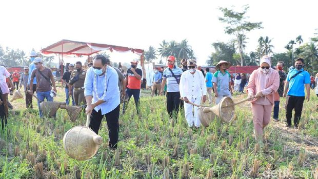 Festival menangkap belalang di Pangandaran.