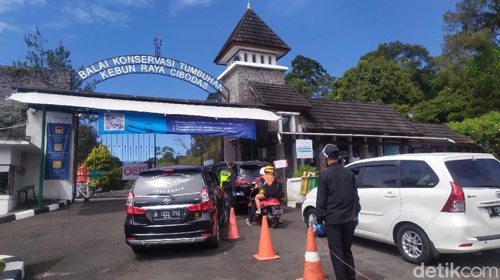 Kondisi Kebun Raya Cibodas pasca PSBB kedua.