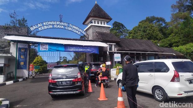 Kebun Raya Cibodas Kondisi Kebun Raya Cibodas pasca PSBB kedua.