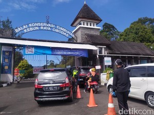 Bayar Tiket Masuk Kebun Raya Cibodas Kini Cukup Lewat Satu Pintu