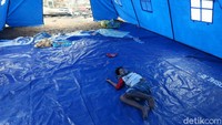 Seorang warga tertidur di tenda pengungsian.