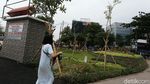 Kuburan Corona, Ingatkan Bahaya COVID-19