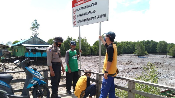 Papan peringatan dipasang usai buaya serang warga.