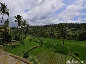 Pemkab Banyuwangi Berupaya Minta Tambahan Pupuk Bersubsidi dari Pusat