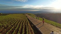 Bagi traveler yang berlibur ke dataran tinggi Dieng, tidak ada salahnya menyempatkan untuk menyusuri jalan tembus Banjarnegara – Batang. Atau lebih dikenal dengan sebutan tol kayangan.