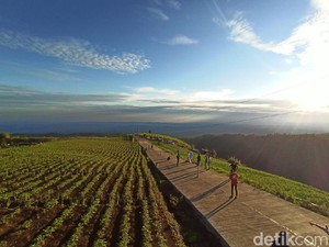 Jalan Tol Kayangan Dieng, Ada di Ketinggian 1700 Mdpl