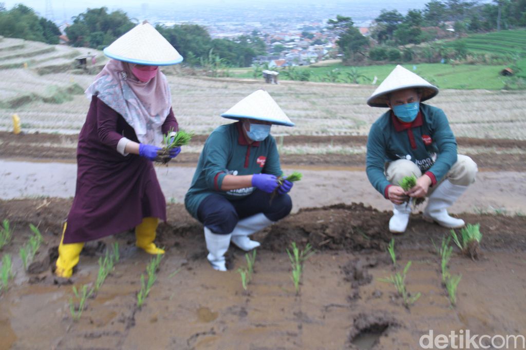 UPT Pembibitan Tanaman Pangan, Hortikultura, dan Peternakan Kota Bandung