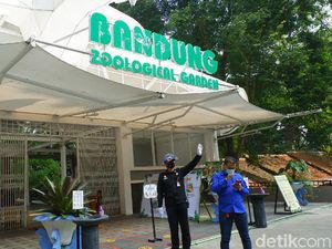 Periode Cuti Bersama, Kebun Bintang Bandung Panen Turis
