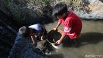 Cara Unik Anak-anak di Solo Mengisi Waktu Saat Pandemi