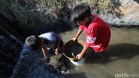 Anak-anak tersebut mencari pasir untuk dijadikan bahan membuat kolam ikan di rumah.