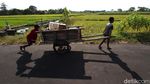 Cara Unik Anak-anak di Solo Mengisi Waktu Saat Pandemi