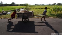 Dua orang anak tengah mendorong gerobak berisi pasir yang akan dijadikan bahan pembuatan kolam ikan di rumah.