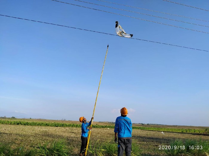 Jaringan listrik di Rembang kerap mengalami gangguan disebabkan layang-layang yang tersangkut di kabel.