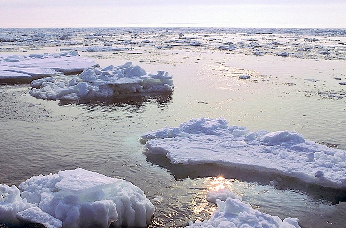 Huge chunks of Bering Sea ice drift ashore on St. Lawrence Island in Alaska. Climate change has changed this scene. There is less ice today, an earlier breakup, and shoreline erosion that once was prevented by the ice piling ashore.