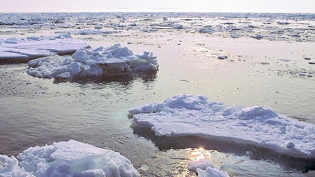 Huge chunks of Bering Sea ice drift ashore on St. Lawrence Island in Alaska. Climate change has changed this scene. There is less ice today, an earlier breakup, and shoreline erosion that once was prevented by the ice piling ashore.