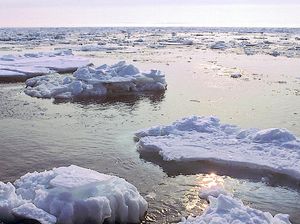 Lapisan Es di Laut Ini Berkurang Drastis dari 5.500 Tahun Lalu
