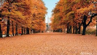 Tempat yang bisa Kamu kunjungi di London seperti Richmond Park yang merupakan rumah dari 630 rusa, Hyde Park dan Kensington Gardens dimana kamu dapat melihat Angsa dan jangan lupa membawa kacang untung memberi makan Tupai. Istimewa/Love Great Britain.