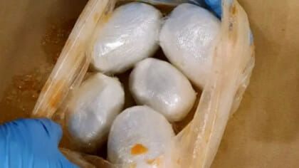 Penyelundupan Narkoba di Pepaya