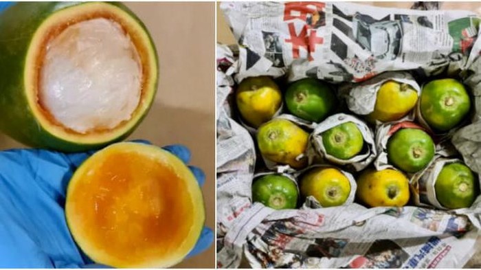 Penyelundupan Narkoba di Pepaya