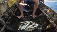 Sejumlah ancaman yang membayangi keindahan kawasan itu adalah perampasan tanah, penggundulan tanah secara ilegal, dan konstruksi tanpa izin.