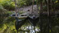 Sementara itu, sejumlah proyek di desa tepi sungai yang dikenal sebagai Karibianya Brasil itu telah berkembang meski di bangun di dalam kawasan lindung atau tidak memiliki izin yang sesuai. Ederson Santos, seorang penduduk di Alter do Chao mengatakan kepada AP, sebagian besar pendatang baru mengatakan ingin membeli tanah secara legal dan murah. Namun, jika upaya itu gagal, tak sedikit yang kemudian memagari area kosong dan mengklaimnya sebagai area milik mereka.