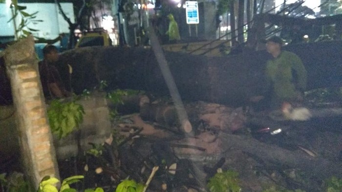 Pohon Tumbang Timpa Mobil di Menteng Jakarta Pusat