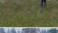 Wah Pak, gunakan fitur zoom saja. Tidak perlu jarak dekat seperti ini mengambil foto hewan liarnya. Dikejar-kejar deh.