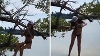 Ingin foto estetik, eh malah jatuh dan tersangkut di dahan pohon. 