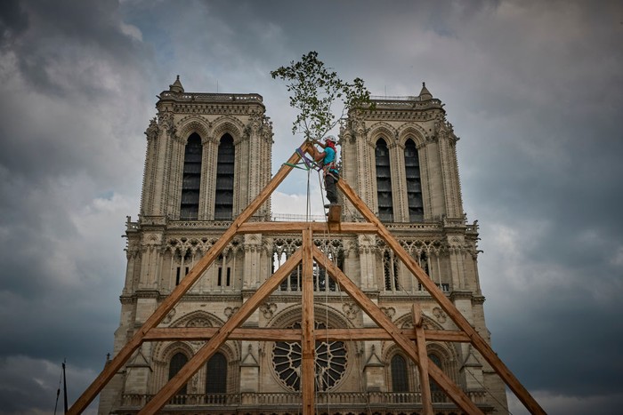 Rekonstruksi Katedral Notre-Dame Pasca Kebakaran PARIS, FRANCE - SEPTEMBER 19: A member of the Charpentiers sans Frontièrs (Carpenters without Borders) works on the reconstruction of one of the missing timber frames of Notre-Dame Cathedral that was destroyed by the fire in front of the Cathedral on September 19, 2020 in Paris, France. Part of the 37th edition of the European Heritage Days, the iconic Parisian landmark aims at informing the public of the reconstruction plans related to the April 15, 2019 fire and aims to imporve the public's knowledge of Notre-Dame's architecture and history. The extensive damage to the roof and spire of the 13th-century Notre Dame de Paris cathedral have proven reconstruction process to be much more complex than many anticipated. (Photo by Kiran Ridley/Getty Images)
