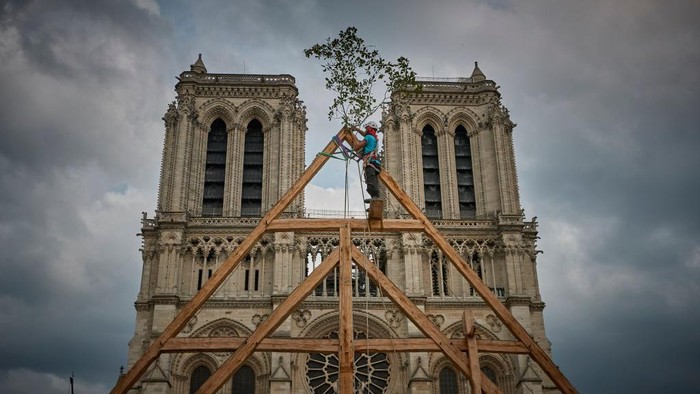 PARIS, FRANCE - SEPTEMBER 19: A member of the Charpentiers sans Frontièrs (Carpenters without Borders) works on the reconstruction of one of the missing timber frames of Notre-Dame Cathedral that was destroyed by the fire in front of the Cathedral on September 19, 2020 in Paris, France. Part of the 37th edition of the European Heritage Days, the iconic Parisian landmark aims at informing the public of the reconstruction plans related to the April 15, 2019 fire and aims to imporve the publics knowledge of Notre-Dames architecture and history. The extensive damage to the roof and spire of the 13th-century Notre Dame de Paris cathedral have proven reconstruction process to be much more complex than many anticipated. (Photo by Kiran Ridley/Getty Images)