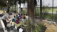 Semua bermula ketika Veena Gupra, penyanyi dan nenek tiga anak, yang tinggal di tepi sungai mengeluh bahwa sekolah-sekolah ditutup dan anak-anak di lingkungannya tinggal di rumah tanpa melakukan apa-apa.  