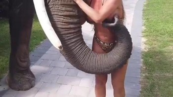 Hal tak terduga sering terjadi ketika mencoba dekat dengan hewan. Foto: influencersinthewild via boredpanda
