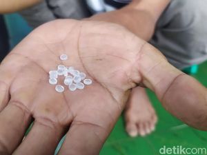 Petugas Kembali Temukan Biji Plastik Dalam Beras Bantuan di Purwakarta