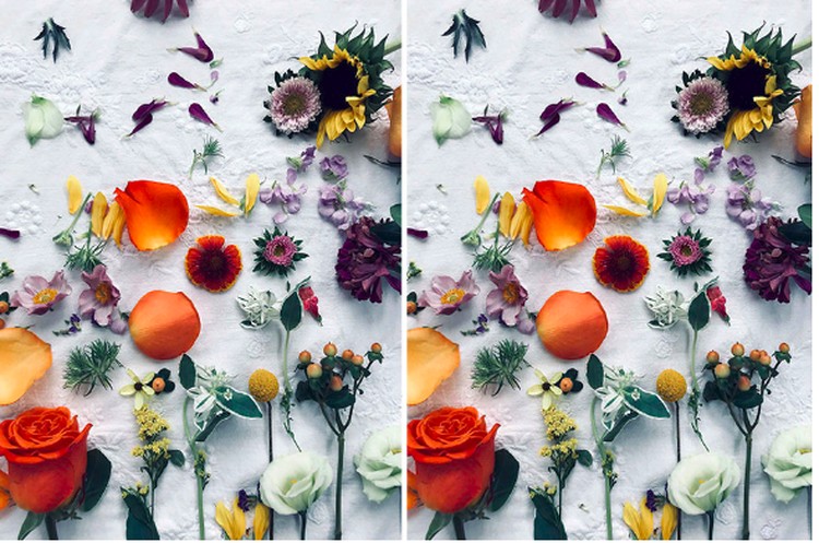 Buat yang Gabut, Temukan Perbedaan yang Ada di Foto Berikut! Maik Zehrfeld membagikan beberapa teka-teki mencari perbedaan dari foto yang ia kreasikan, bisa temukan bedanya?