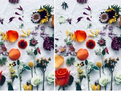 Buat yang Gabut, Temukan Perbedaan yang Ada di Foto Berikut