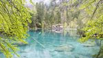 Danau Blausee yang Mirip Negeri Dongeng
