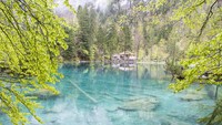 Sejak saat itu air danau yang jernih berubah menjadi toska kebiru-biruan.