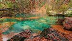 Danau Blausee yang Mirip Negeri Dongeng