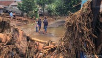 Sejumlah pohon tercabut dan terseret banjir.
