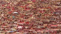 Kini akademi Larung Gar jadi kampus Buddha terbesar dunia.