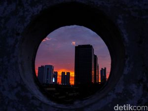 Waspada Pohon Tumbang Saat Angin Kencang, Ini Mitigasi yang Perlu Diperhatikan