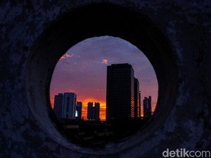 Waspada Pohon Tumbang Saat Angin Kencang, Ini Mitigasi yang Perlu Diperhatikan