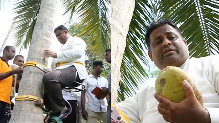 Menteri di Sri Lanka Ini Viral Usai Gelar Jumpa Pers di Atas Pohon Kelapa